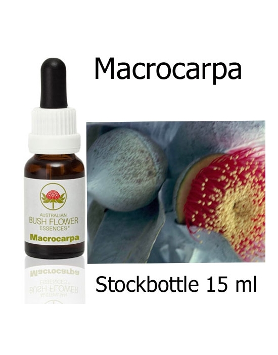 Australische Buschblüten Stockbottles Macrocarpa Australian Bush Flower Essences