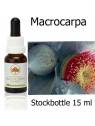 MACROCARPA Australian Flower Essences Fiori Australiani stockbottle