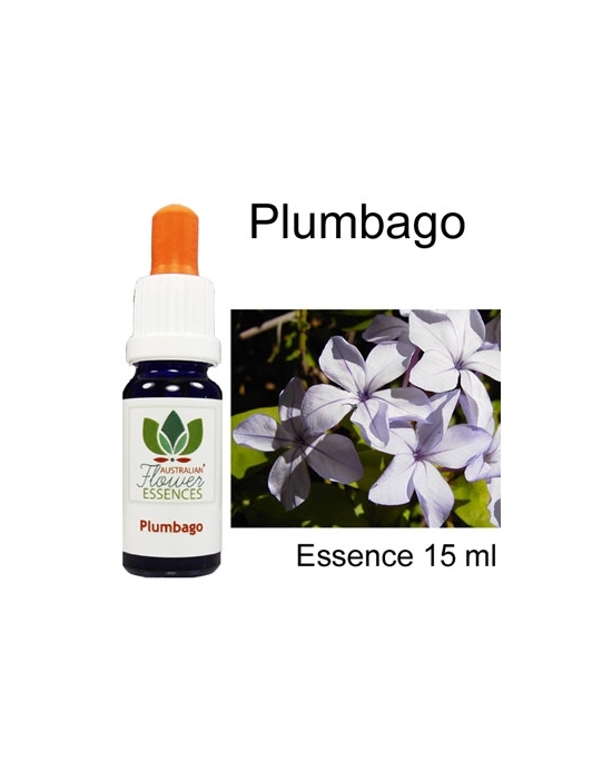 Plumbago Australische Blütenessenzen Love Remedies