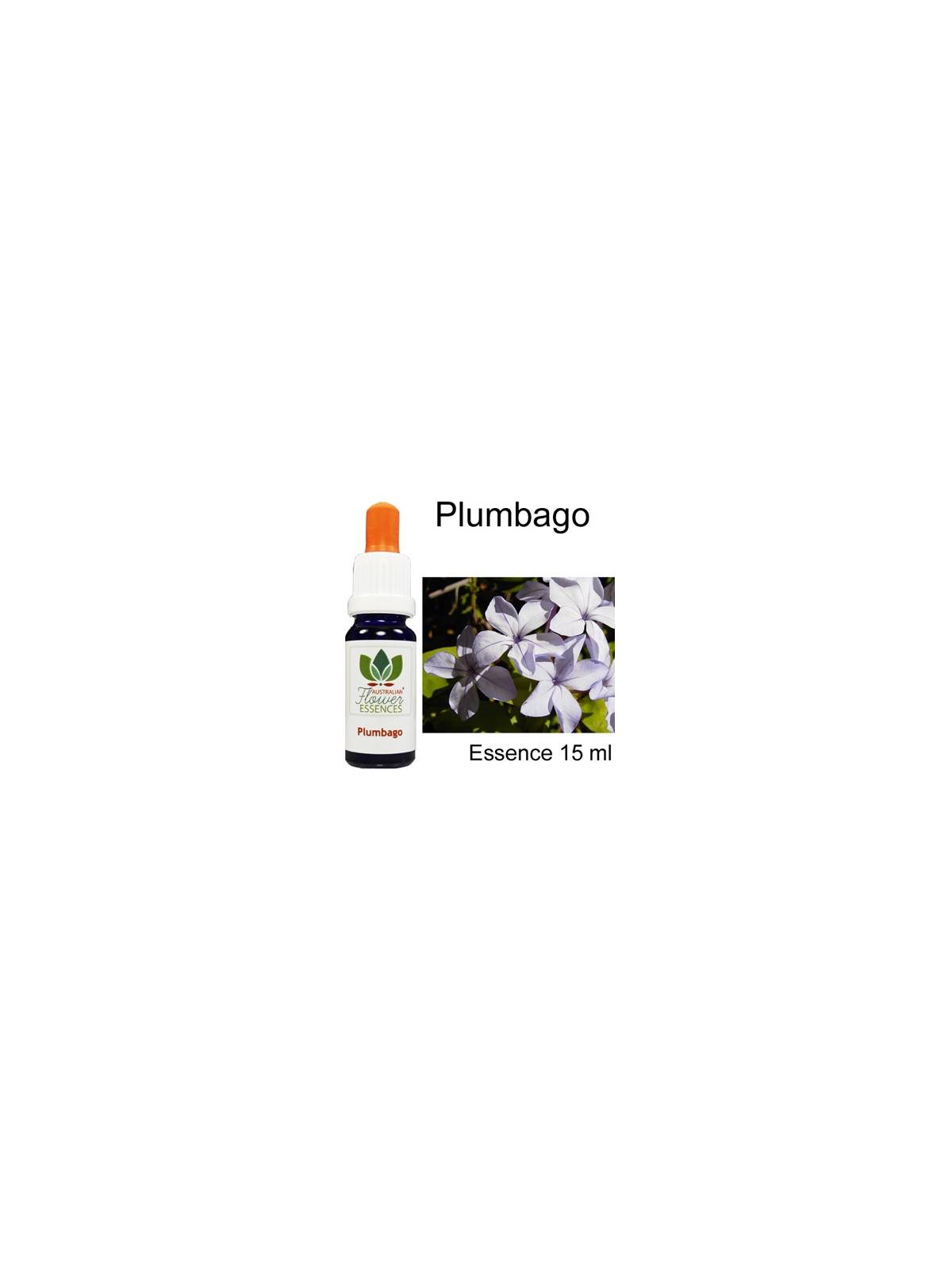 Plumbago Australische Blütenessenzen Love Remedies