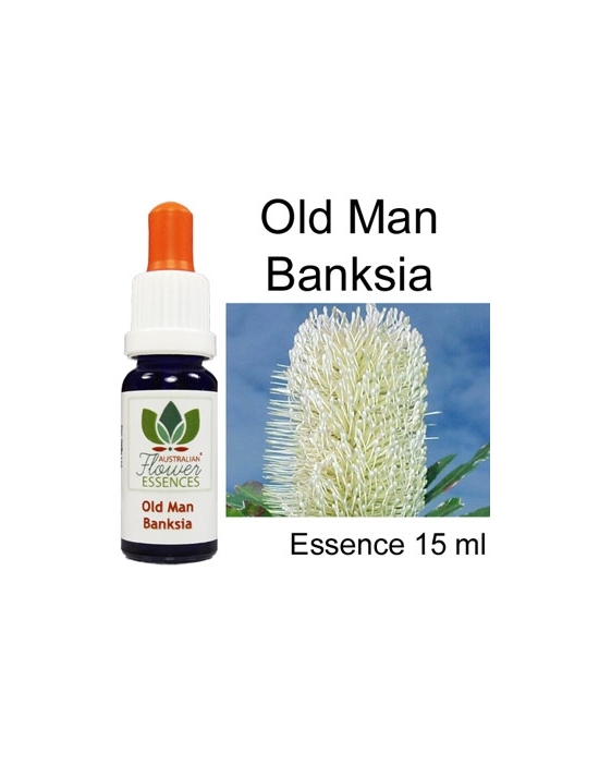 OLD MAN BANKSIA Australian Flower Essences Love Remedies