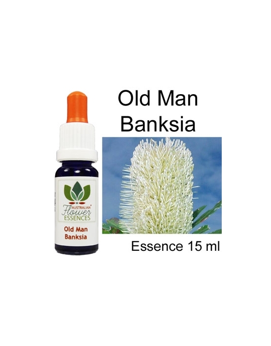 OLD MAN BANKSIA Australische Buschblüten Australian Flower Essences 15 ml