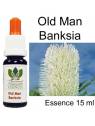 OLD MAN BANKSIA 15 ml Australian Flower Essences Fiori Australiani