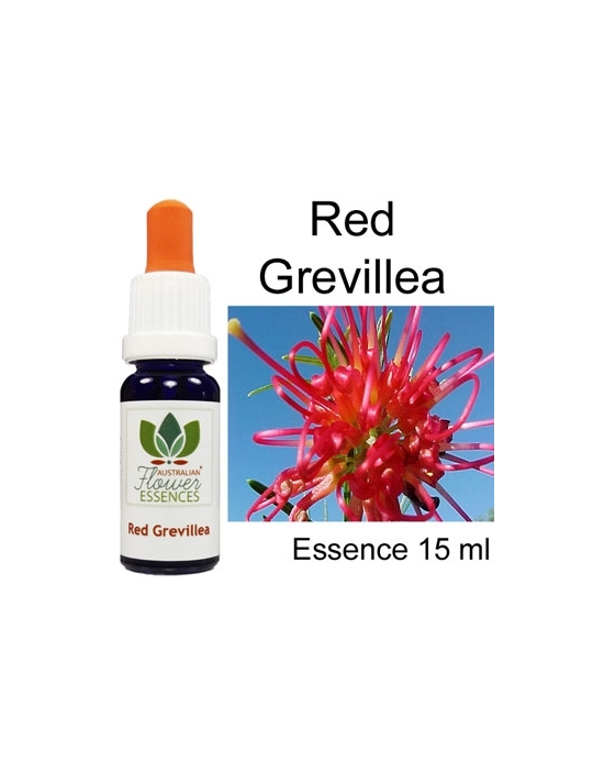Red Grevillea Australische Blütenessenzen Love Remedies