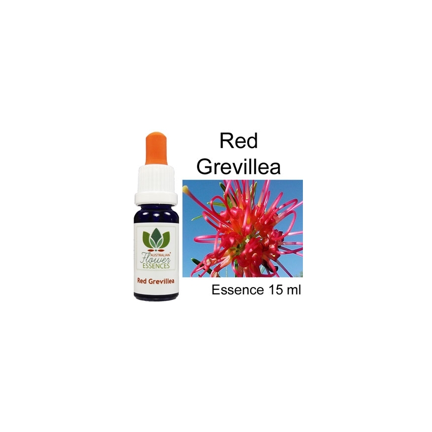 RED GREVILLEA Australian Flower Essences Love Remedies