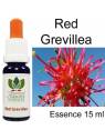 RED GREVILLEA 15 ml Australian Flower Essences fiori australiani