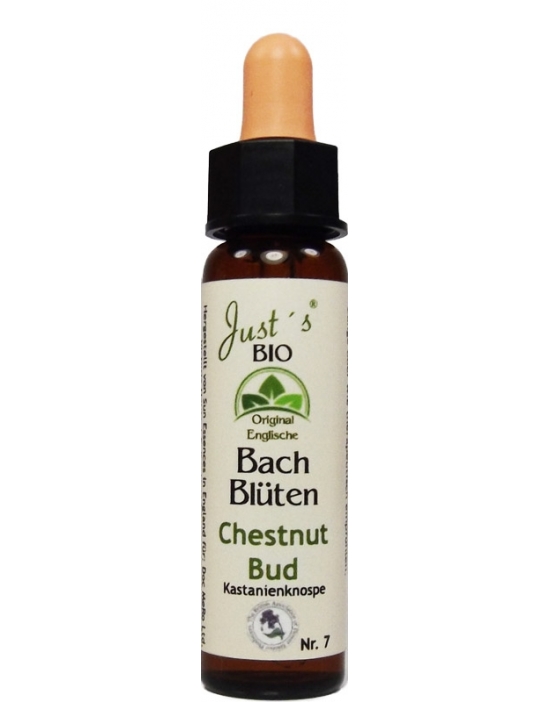 Chestnut Bud No. 7 organic Bach Flower Essences 10 ml