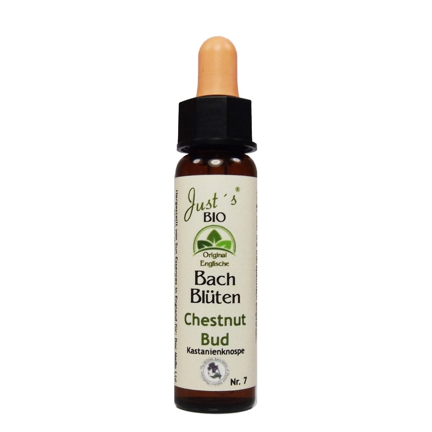 Chestnut Bud No. 7 organic Bach Flower Essences 10 ml