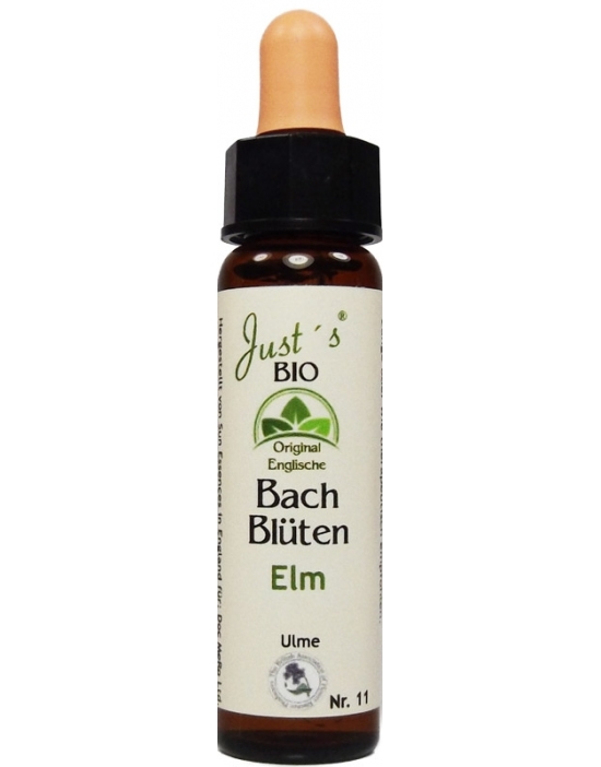 Elm original englische Bio Bachblüten Tropfen Nr. 11 Ulme