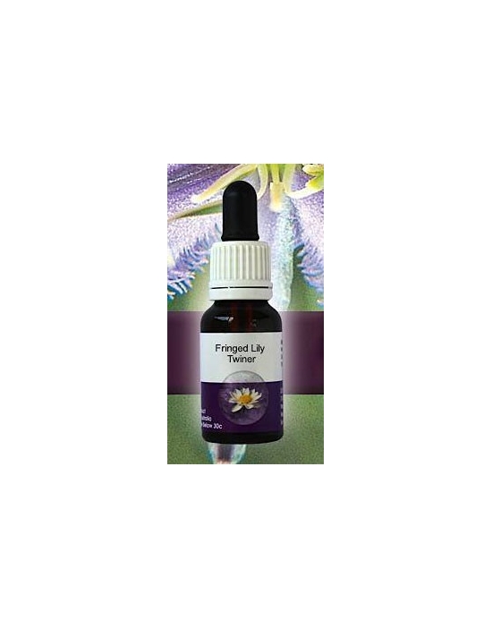 Fringed Lily Twiner Linving Essences Stockbottle 15 ml Australische Bachblüten