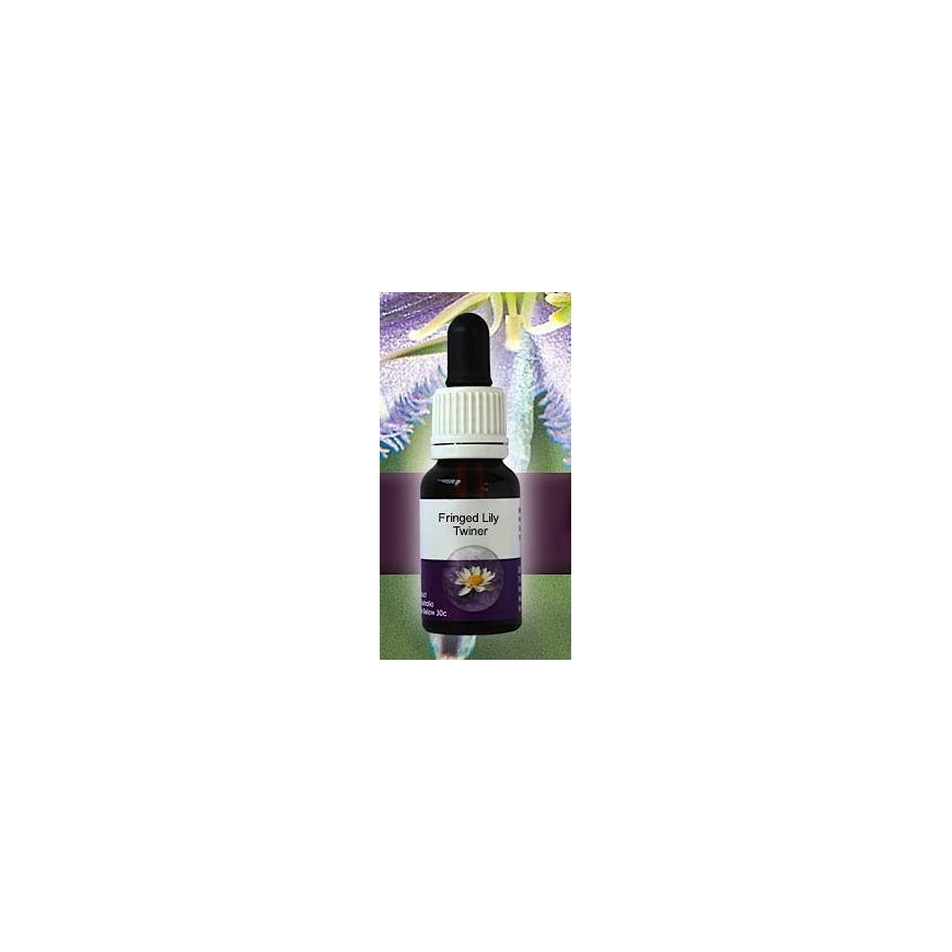 Fringed Lily Twiner Linving Essences Stockbottle 15 ml Australische Bachblüten
