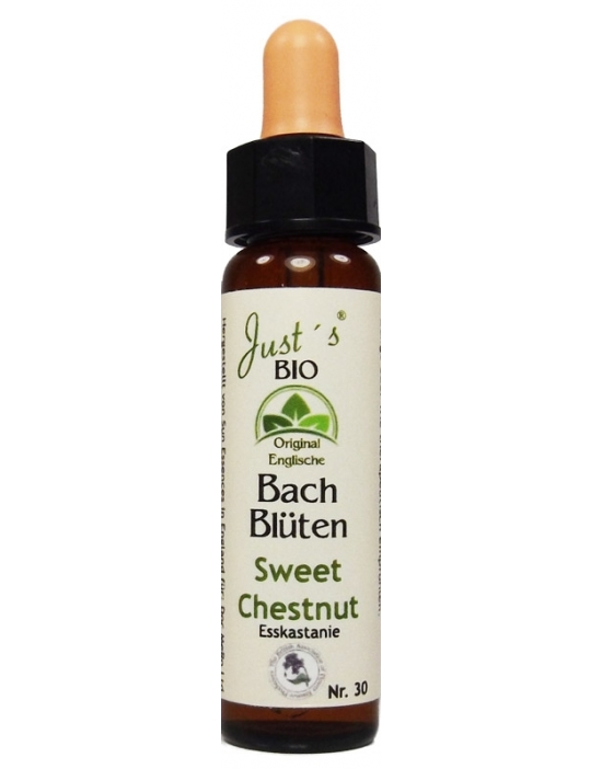 Sweet Chestnut original englische Bio Bachblüten Edelkastanie Nr. 30
