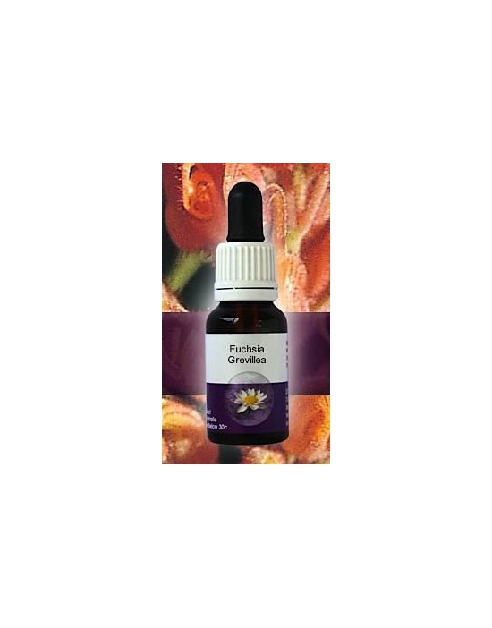 Fuchsia Grevillea Living Essences Stockbottle 15 ml Australische Bachblüten
