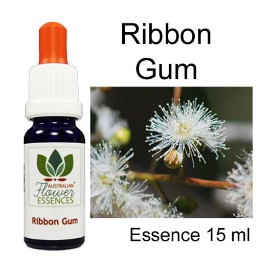 Australian Flower Essences Ribbon Gum