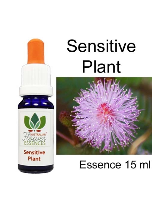 SENSITIVE PLANT 15 ml Australian Flower Essences essenze australiane