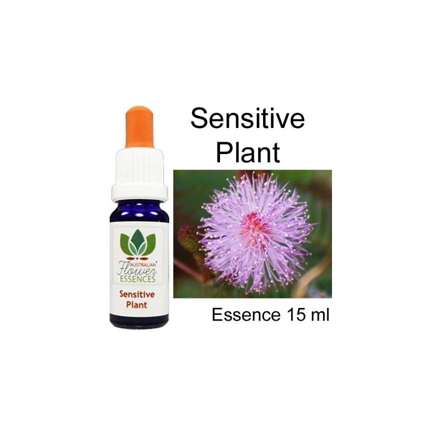 SENSITIVE PLANT 15 ml Australian Flower Essences essenze australiane