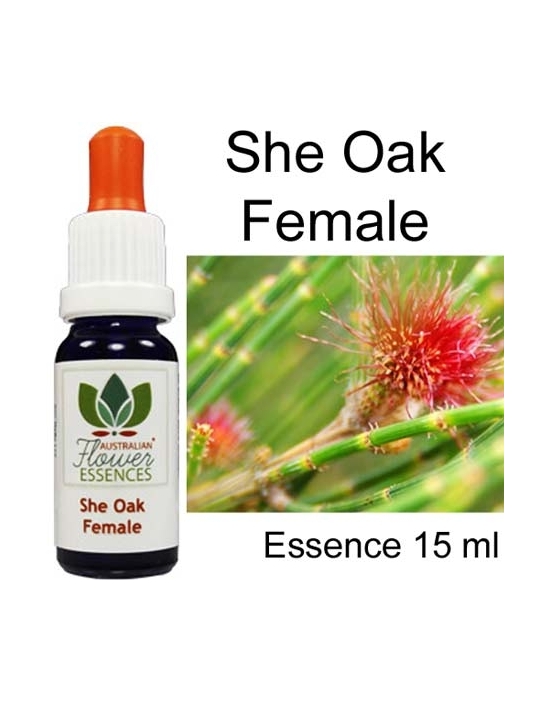 She Oak Female Australische Bucshblüten Australian Flower Essences