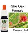 She Oak Female Australian Flower Essences