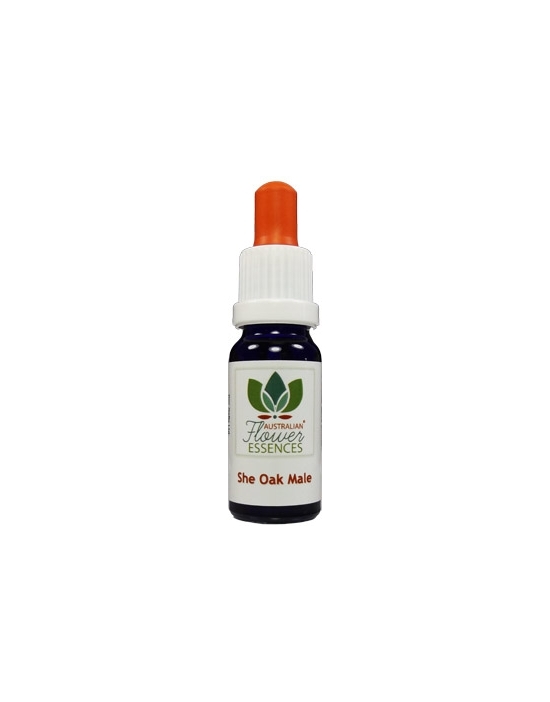 She Oak Male Buschblüten Flasche 15 ml Australian Flower Essences