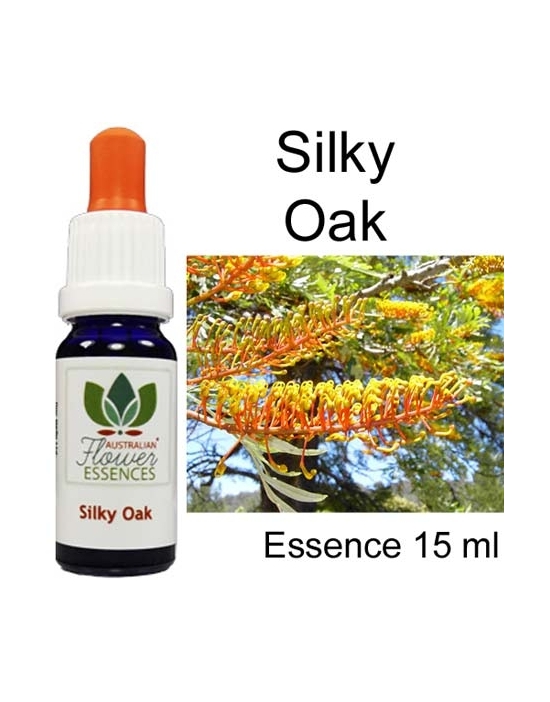 SILKY OAK 15 ml Australian Flower Essences Buschblüten