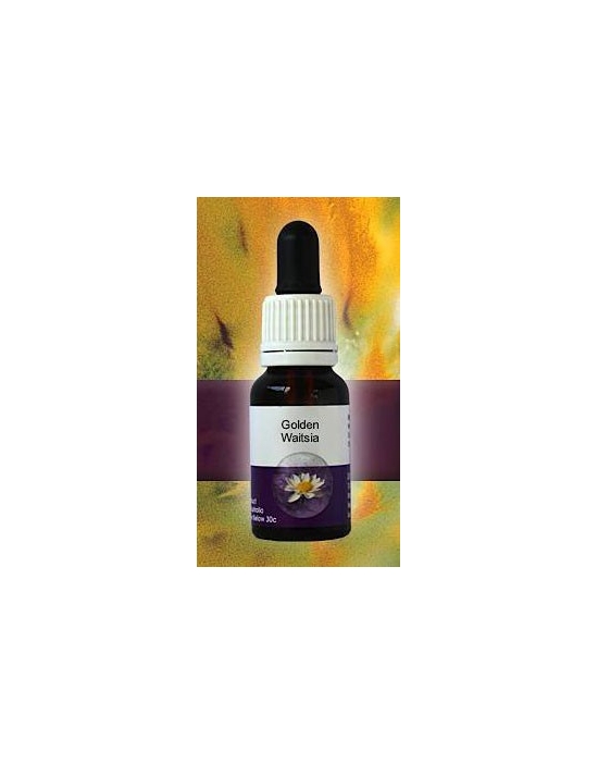 Golden Waitsia Living Essences Stockbottle 15 ml bushflowers