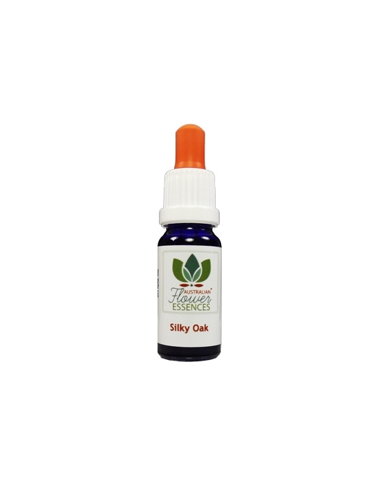 Australian Flower Essences Silky Oak Buschblüten 15 ml