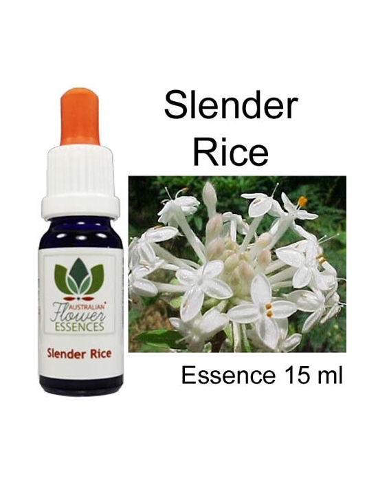 SLENDER RICE FLOWER 15 ml Australian Flower Essences essenze australiane