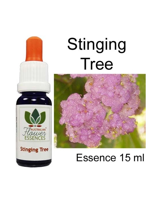 STINGING TREE 15 ml Australian Flower Essences Essenze australiane
