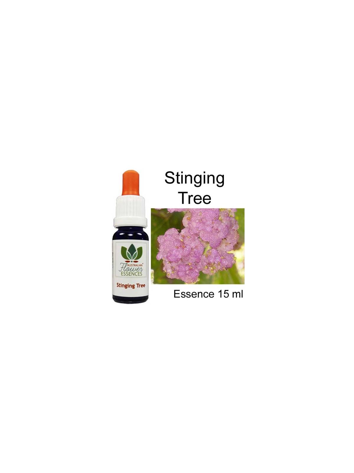 Australian Flower Essences Stinging Tree 15 ml