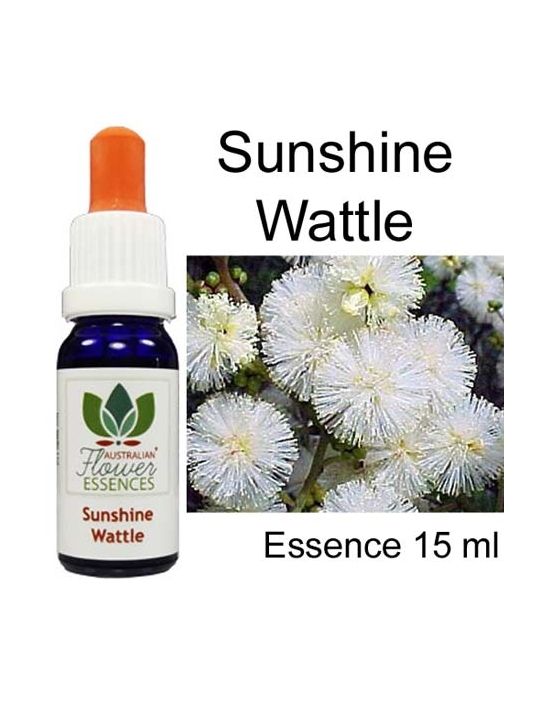 SUNSHINE WATTLE 15 ml Australian Flower Essences