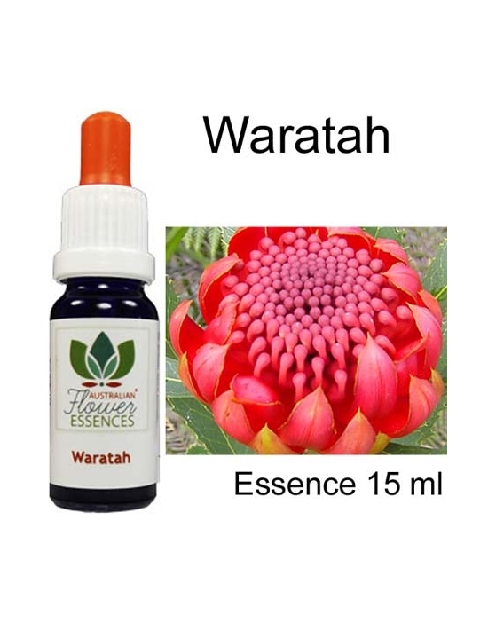 WARATAH 15 ml Australian Flower Essences Essenze australiane