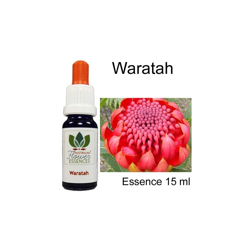 WARATAH 15 ml Australian Flower Essences Buschblüten