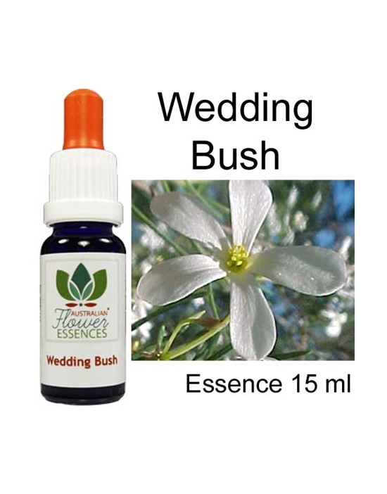 WEDDING BUSH Australian...
