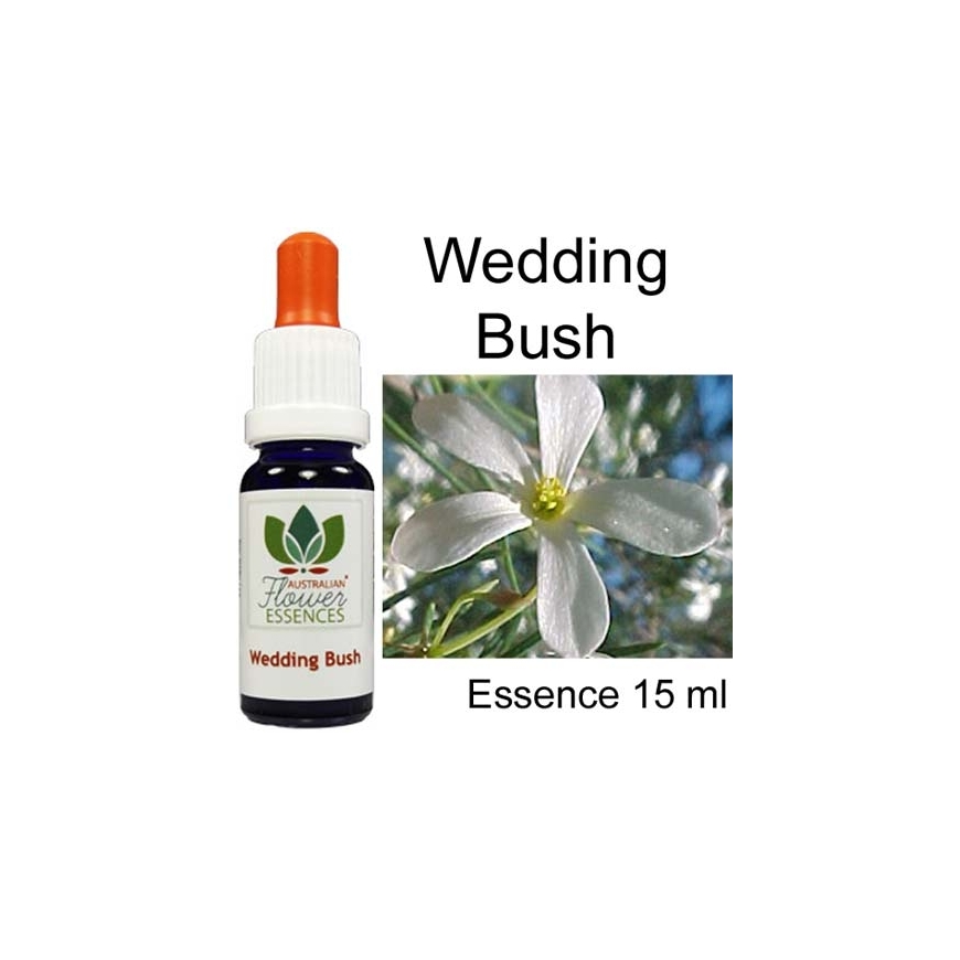 WEDDING BUSH 15 ml Australian Flower Essences Essenze australiane