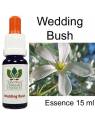 WEDDING BUSH 15 ml Australian Flower Essences Buschblüten