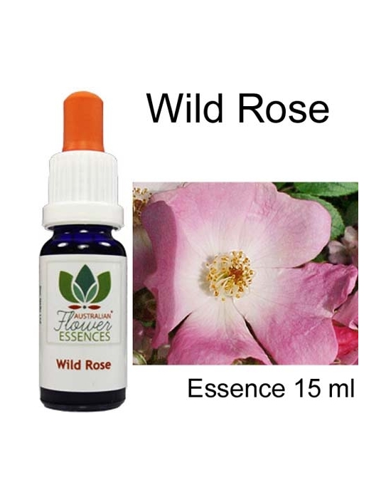 WILD ROSE 15 ml Australian Flower Essences Buschblüten