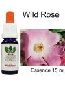 WILD ROSE 15 ml Australian Flower Essences Buschblüten