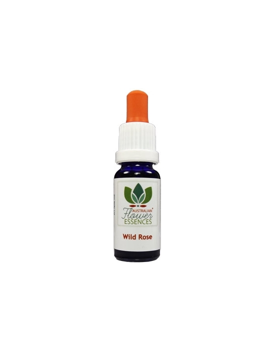 Wild Rose Australian Flower Essences 15 ml bottle