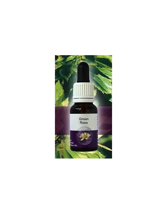 Green Rose Living Essences Stockbottle 15 ml bushflowers