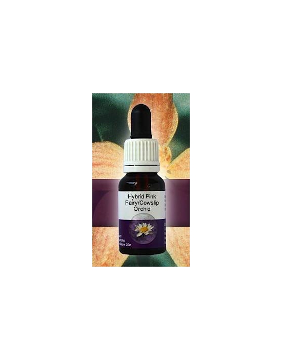 Hybrid Pink Fairy Orchid Living Essences Stockbottle 15 ml Australische Bachblüten