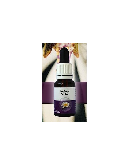 Leafless Orchid Living Essences Stockbottle 15 ml Australische Bachblüten