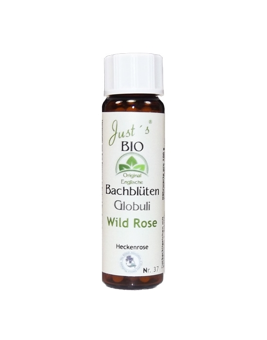 Globuli Wild Rose Nr. 37 original englische Bio Bachblüten alkoholfrei Heckenrose