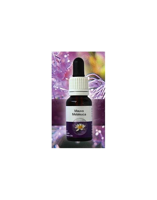 Mauve Melaleuca Living Essences Stockbottle 15 ml Australische Bachblüten