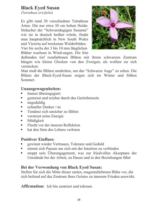 E-Book Auszug der Beschreibung der Buschblüten Black Eyed Susan.