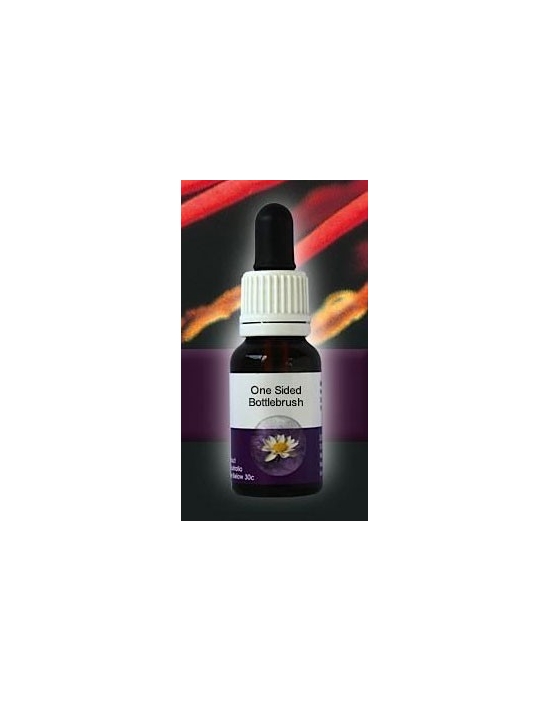 One Sided Bottlebrush Living Essences Stockbottle 15 ml Australische Buschblüten