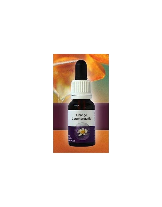 Orange Leschenaultia Living Essences Stockbottle 15 ml Australische Buschblüten