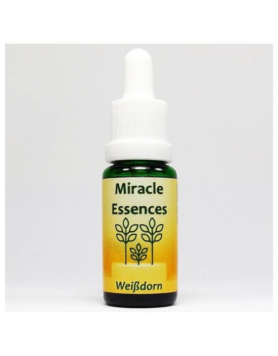 WEIßDORN Miracle Essences Blütenessenzen Crataegus oxaycantha