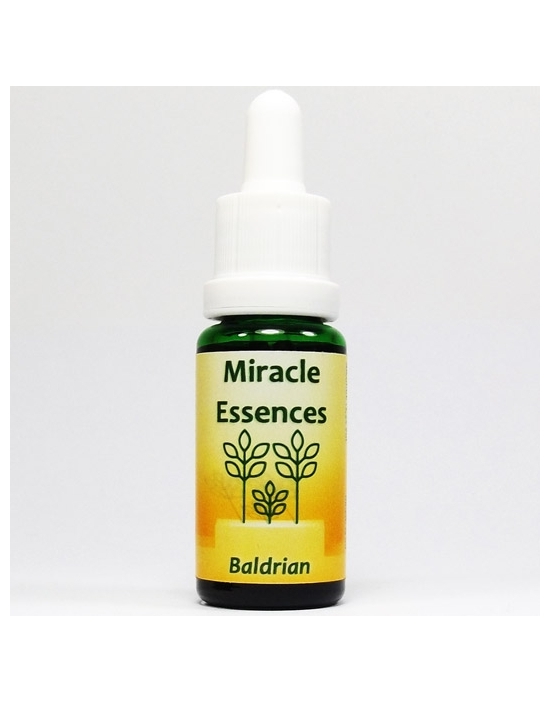 BALDRIAN Miracle Essences Blütenessenzen Valeriana officinalis