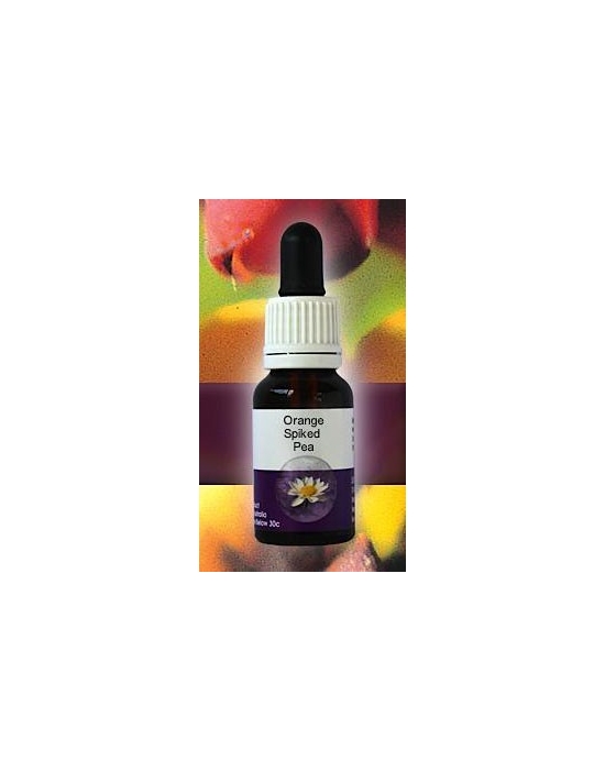 Orange Spiked Pea Living Essences Stockbottle 15 ml Fiori Australiani