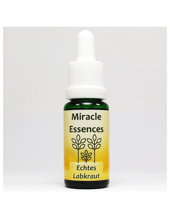 LADY'S BEDSTRAW Miracle Essences
flower essences Galium verum